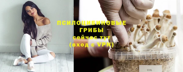 не бодяженный Медвежьегорск