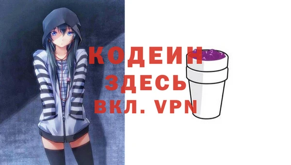 молекула духа Семилуки