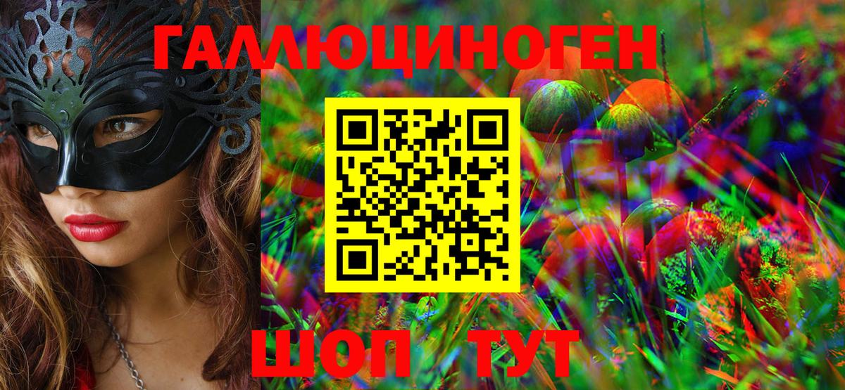 Галлюциногенные грибы Cubensis  Чернушка 