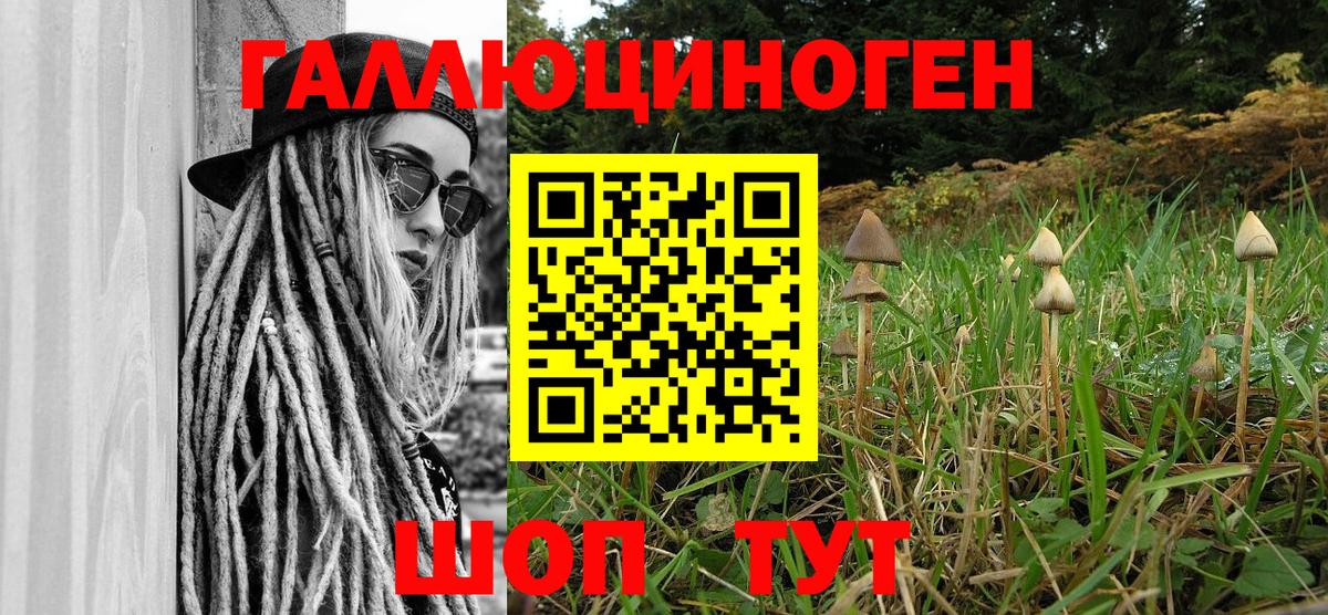 Псилоцибиновые грибы Cubensis Чернушка