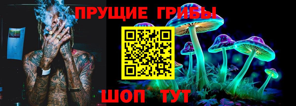 Чернушка  Галлюциногенные грибы Cubensis  Вход с VPN 